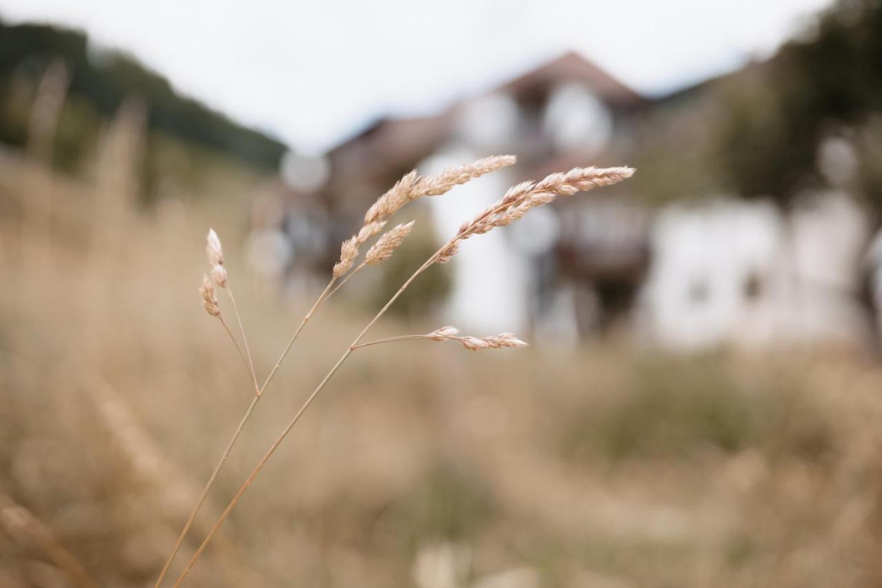 Apartamento Winter-Nest Todtnau Exterior foto